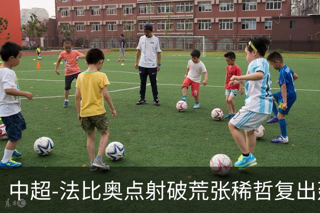 中超-法比奥点射破荒张稀哲复出建功 国安2-1浙江队6轮不败