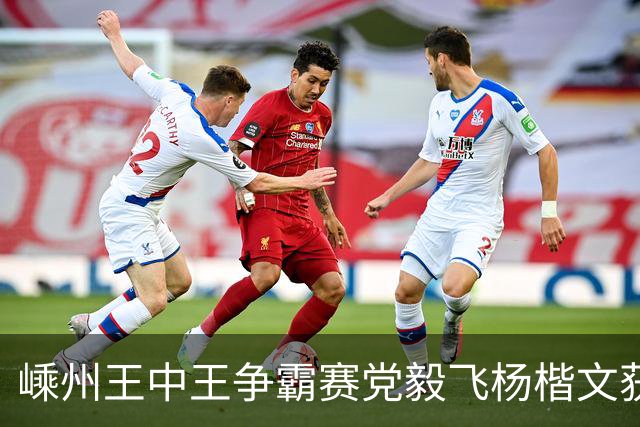 嵊州王中王争霸赛党毅飞杨楷文获胜 00后全出局